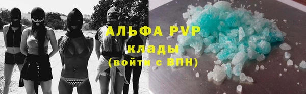 сатива Заводоуковск