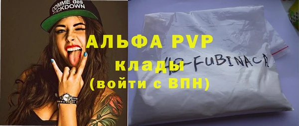 сатива Заводоуковск