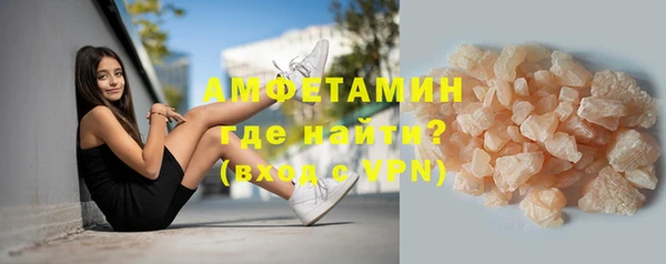 мдпв Ельня
