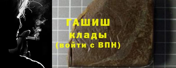 мдпв Ельня