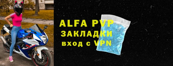 мдпв Ельня