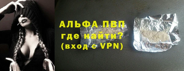 мдпв Ельня