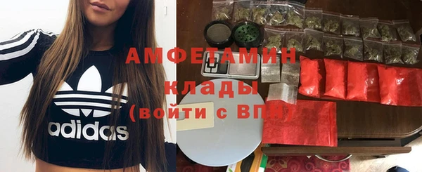 мдпв Ельня