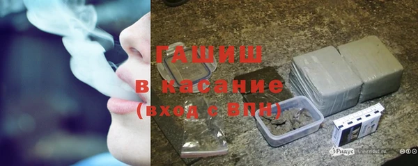 мдпв Ельня