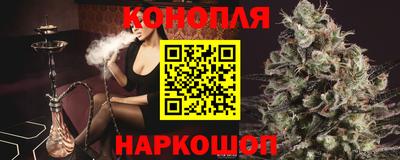 мяу мяу мука Гай