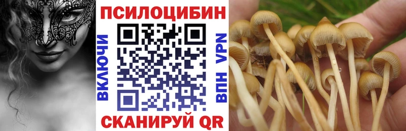 Галлюциногенные грибы Cubensis Верхняя Салда