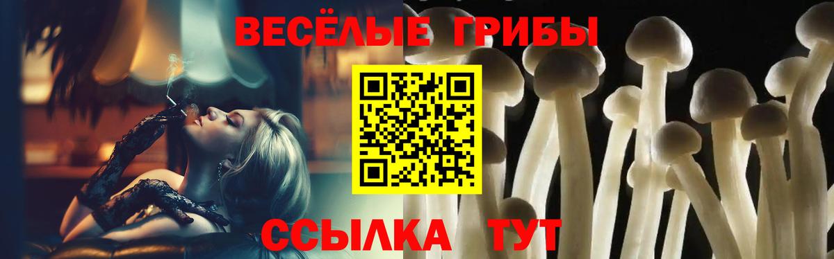 Галлюциногенные грибы Psilocybine cubensis Верхняя Салда
